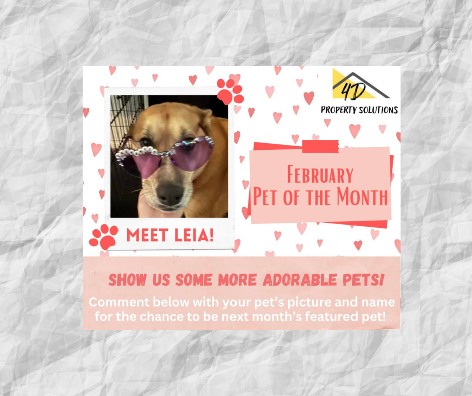 February Pet of the Month: Leia!